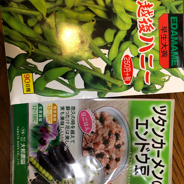 送料込 ツタンカーメン えんどう豆 の種7粒の通販 By まーくんママ S Shop ラクマ