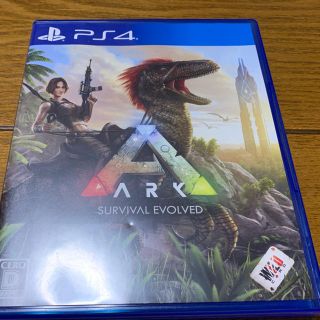 プレイステーション4(PlayStation4)の美品 ps4 アーク ARK (家庭用ゲームソフト)