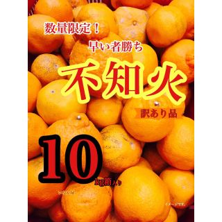 不知火 訳あり品 数量限定 早い者勝ち(フルーツ)