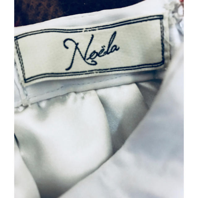 Noela(ノエラ)のNoela パネルエンブロイダリーチュールスカート レディースのスカート(ひざ丈スカート)の商品写真