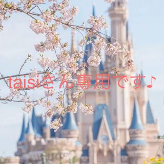 taisiさん専用です♪(その他)