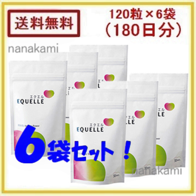 AS 6袋セット（180日分）エクエル　パウチ 大塚製薬