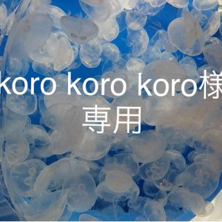 koro koro koro様専用(各種パーツ)