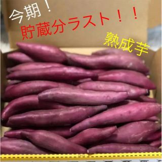 鳴門金時！3Sサイズ！送料無料！(野菜)