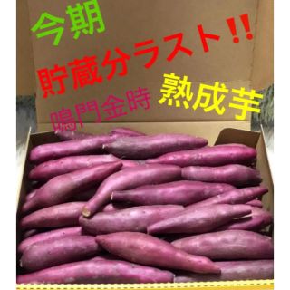 鳴門金時！3Sサイズ！送料無料！no.9(野菜)