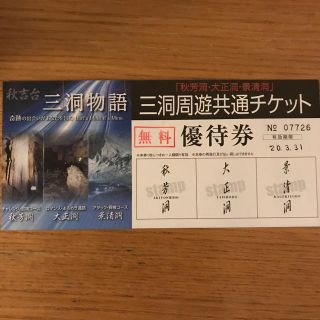 秋吉台 三洞周遊共通チケット 秋芳洞、大正洞、景清洞(その他)