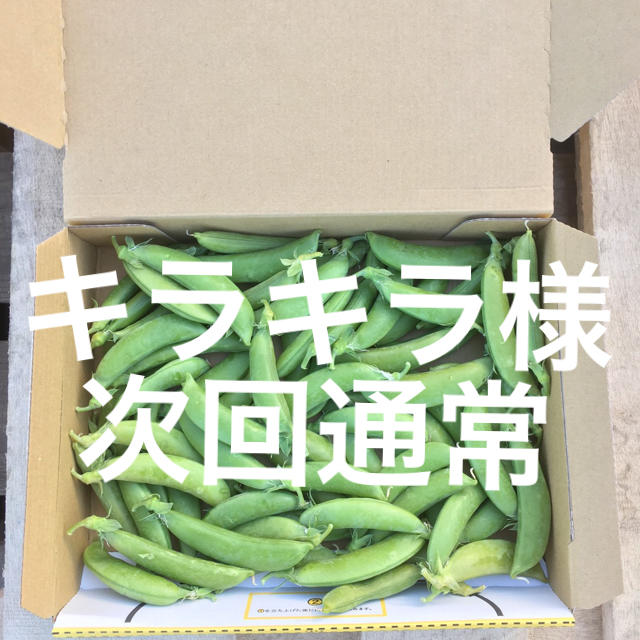 鹿児島産スナップエンドウ箱込み500g^_^次回通常 食品/飲料/酒の食品(野菜)の商品写真