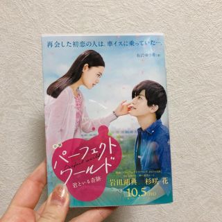 エグザイル トライブ(EXILE TRIBE)のパーフェクトワールド(文学/小説)