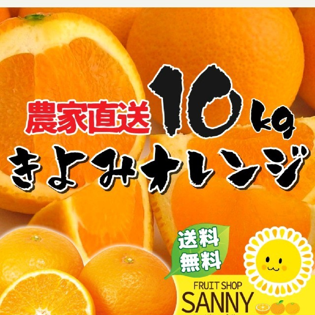 農家直送 1kg追加家庭用 訳ありきよみオレンジ11kg 食品/飲料/酒の食品(フルーツ)の商品写真