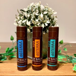 doTERRA ドテラ リップバーム3本セット 新品・未開封(リップケア/リップクリーム)