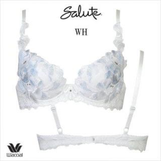 ワコール(Wacoal)のsalute ブラジャー E75(ブラ)