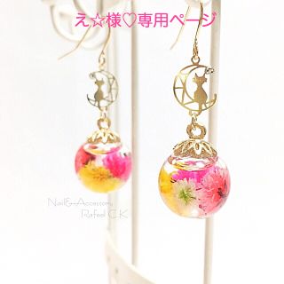 え☆様♡専用ページ(ピアス)