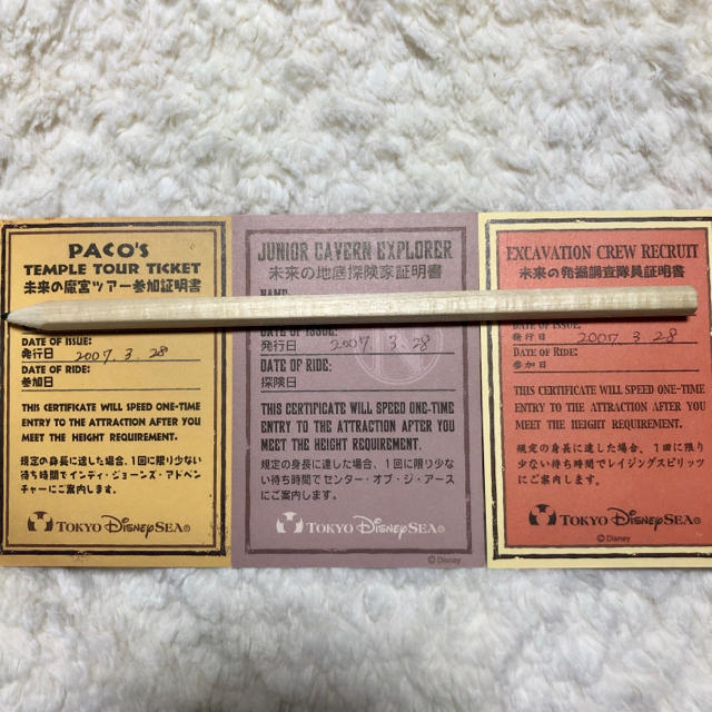 Disney(ディズニー)の未来のチャレンジャー 証明書 3枚 女の子 チケットの施設利用券(遊園地/テーマパーク)の商品写真