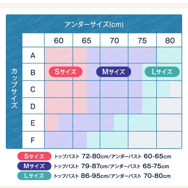 viage ナイトブラ Lサイズ パープル レディースの下着/アンダーウェア(ブラ)の商品写真