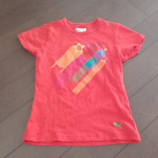 プーマ(PUMA)のPUMA プーマ Tシャツ 半袖(Tシャツ(半袖/袖なし))