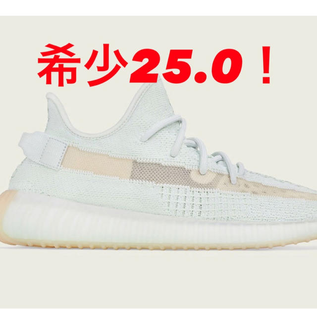 スニーカーYeezy boost 350 v2