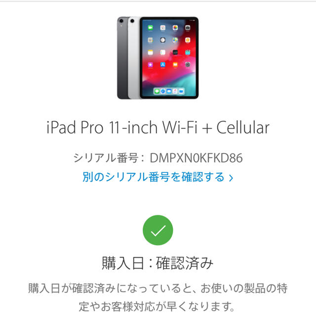 専用 iPad Pro 11 Cellular SIMフリー 256GB