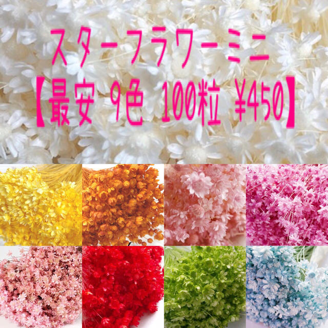 9色100粒mix/スターフラワーミニ/ドライフラワー ハンドメイドの素材/材料(各種パーツ)の商品写真