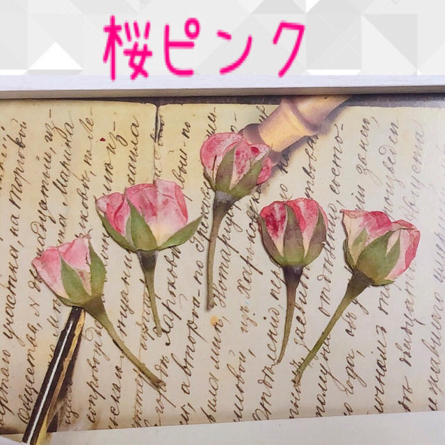 枝付き薔薇蕾押し花 レッド30輪 ハンドメイドの素材/材料(各種パーツ)の商品写真