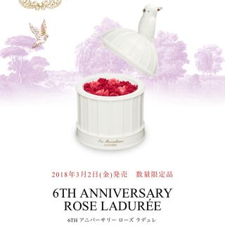 レメルヴェイユーズラデュレ(Les Merveilleuses LADUREE)の未使用 6THアニバーサリー チーク LADUREE(チーク)