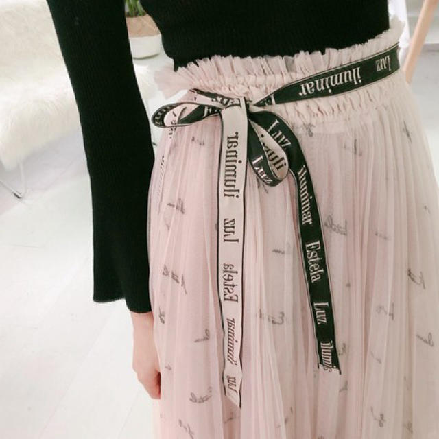 SNIDEL(スナイデル)のロゴ刺繍チュールスカート レディースのスカート(ロングスカート)の商品写真