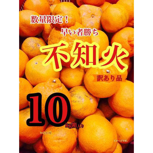 不知火 訳あり品 数量限定 早い者勝ち 食品/飲料/酒の食品(フルーツ)の商品写真