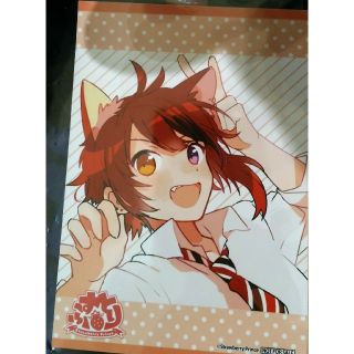 すとぷり 莉犬　アニメイト特典　ブロマイド(その他)