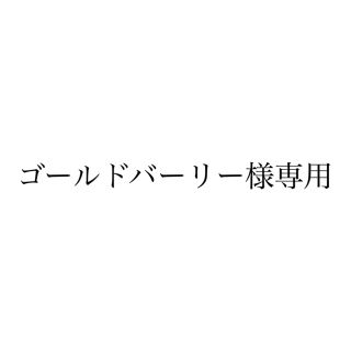 ダイソン(Dyson)のゴールドバーリー様専用(掃除機)