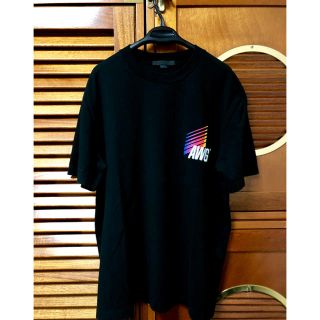 アレキサンダーワン(Alexander Wang)のAlexanderWang Tee(Tシャツ/カットソー(半袖/袖なし))