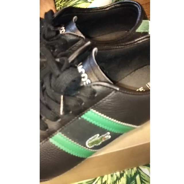 LACOSTE(ラコステ)のLACOSTEスニーカー✨26㎝ メンズの靴/シューズ(スニーカー)の商品写真