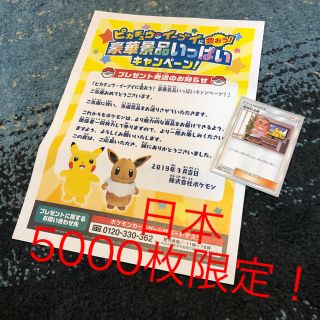 桜 印 【ポケモンカード】あばれる君 プロモ 5000枚限定!当選通知書
