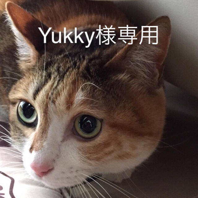 Yukky様専用 ハンドメイドのアクセサリー(アンクレット)の商品写真