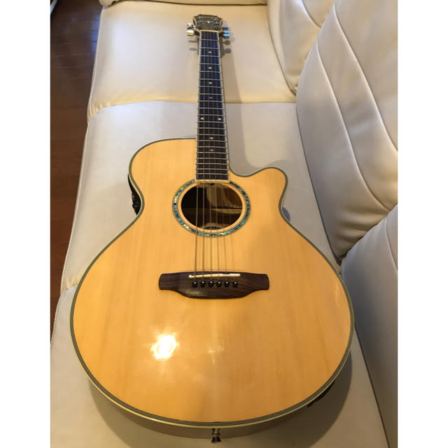ARIA FET-STD Natural エレアコ - grupobatia.com.mx