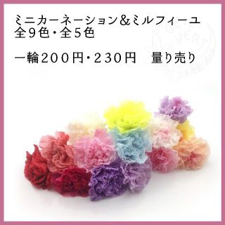 【1輪200円・230円】ミニカーネーション＆ミルフィーユ　全色　量り売り(プリザーブドフラワー)