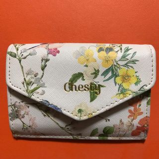 チェスティ(Chesty)のchesty°✳︎. ミニウォレット  名刺 カードケース(財布)