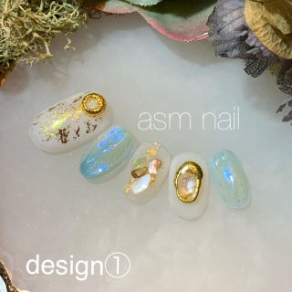 ネイルチップ ジェルネイル asmnail