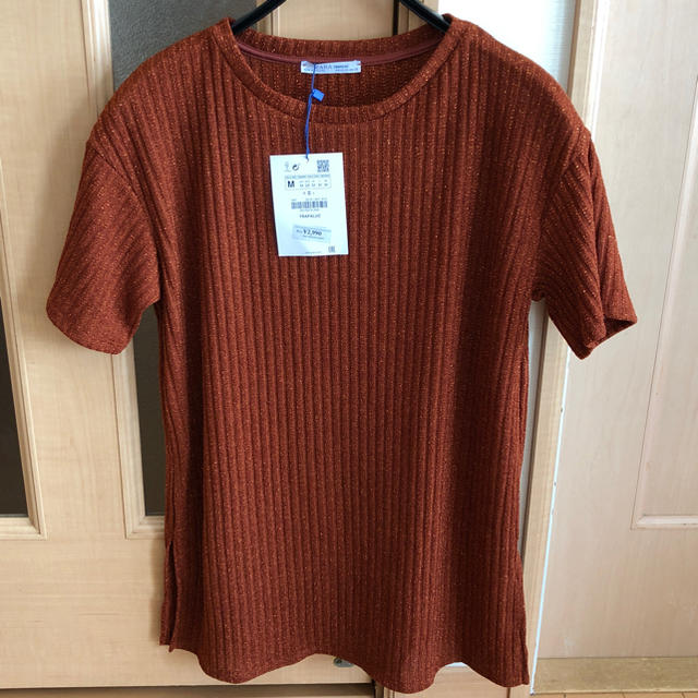 ZARA(ザラ)のZARA 新品 タグ付き ニット サイズ M レディースのトップス(カットソー(半袖/袖なし))の商品写真