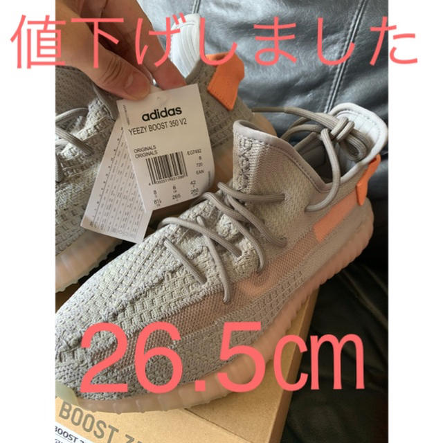 adidas(アディダス)のadidas Yeezy Boost 350 V2 True form  メンズの靴/シューズ(スニーカー)の商品写真