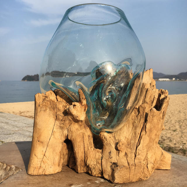 流木ガラス超特大A オブジェ 花瓶 多肉植物 金魚鉢 アート作品 テラリウム | フリマアプリ ラクマ