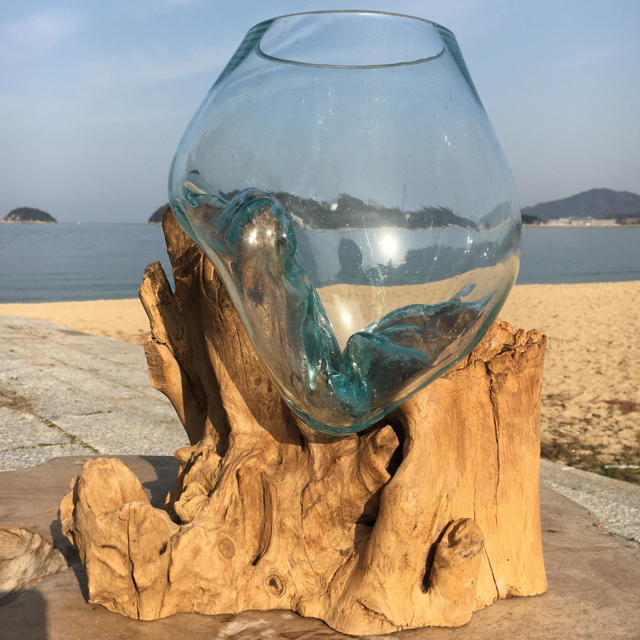 流木ガラス超特大A オブジェ 花瓶 多肉植物 金魚鉢 アート作品 テラリウム エンタメ/ホビーの美術品/アンティーク(彫刻/オブジェ)の商品写真