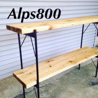 alps800 アイアン棚(棚/ラック/タンス)