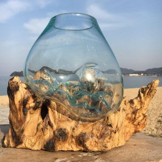 流木ガラス オブジェ超特大B 花瓶 金魚鉢 ガーデニング テラリウム アート(アクアリウム)