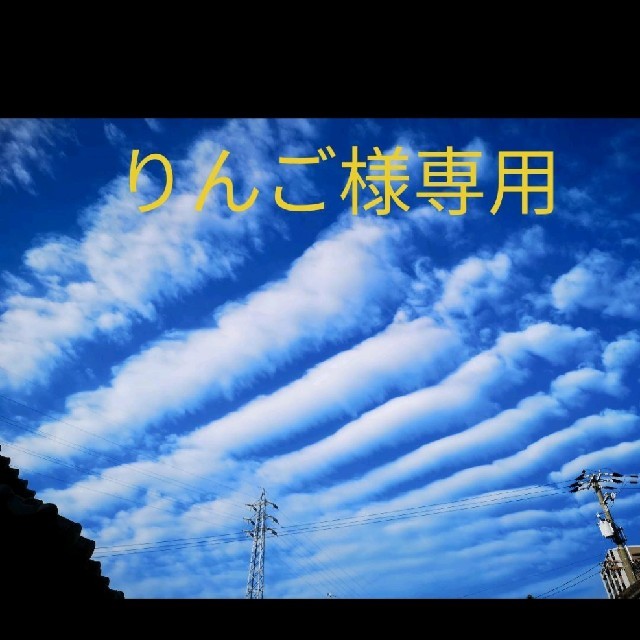 JAL(日本航空)(ジャル(ニホンコウクウ))のJAL 都道府県シール 3枚 エンタメ/ホビーのテーブルゲーム/ホビー(航空機)の商品写真