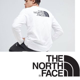 ザノースフェイス(THE NORTH FACE)のThe North Face 長袖 ハーフドームロゴ BIG(Tシャツ/カットソー(七分/長袖))