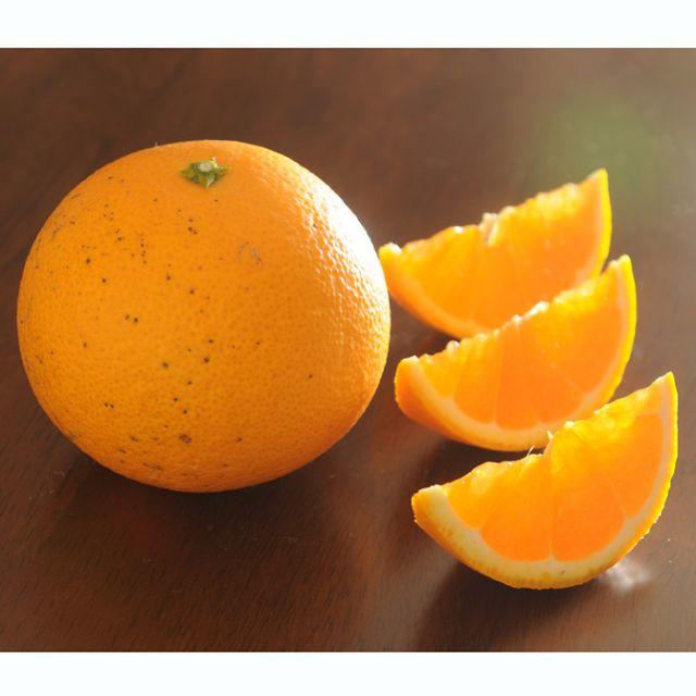 はっさく・清見オレンジの詰め合わせ、10ｋｇ訳あり品 食品/飲料/酒の食品(フルーツ)の商品写真