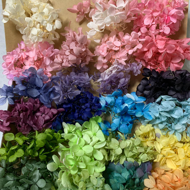 小桜様専用    ピラミッド紫陽花10色 ハンドメイドのフラワー/ガーデン(プリザーブドフラワー)の商品写真