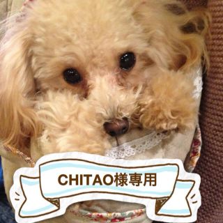 取引専用ページCHITAO様(その他)