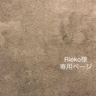 Rieko様 専用ページ(ピアス)