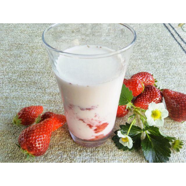 完熟とちおとめ🍓いちごみるくの素　冷凍　いちご　☆送料一律1000円☆2袋 食品/飲料/酒の食品(フルーツ)の商品写真