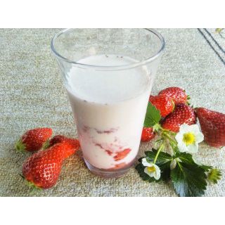 完熟とちおとめ🍓いちごみるくの素　冷凍　いちご　☆送料一律1000円☆2袋(フルーツ)